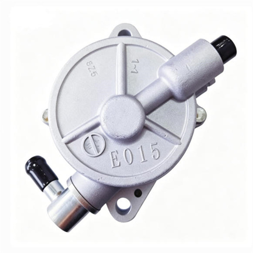 机械真空泵 Toyota Dyna Hino 300 W04D WU302 WU342